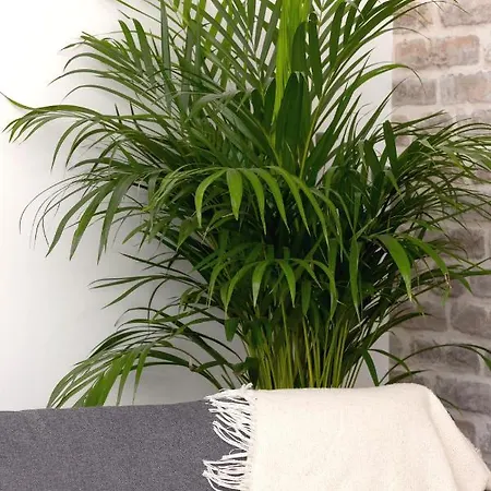 Wow By Cozyplace アパート